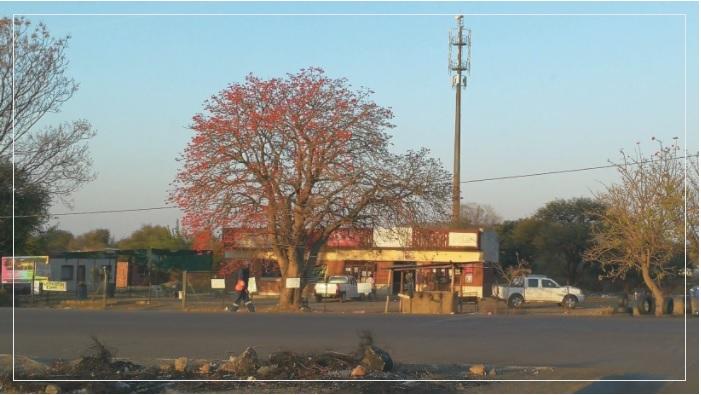 marikana-mine-mineurs-tuer-tragédie-lonmin-north-west