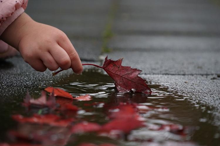 idées, sorties, pluie, cologne