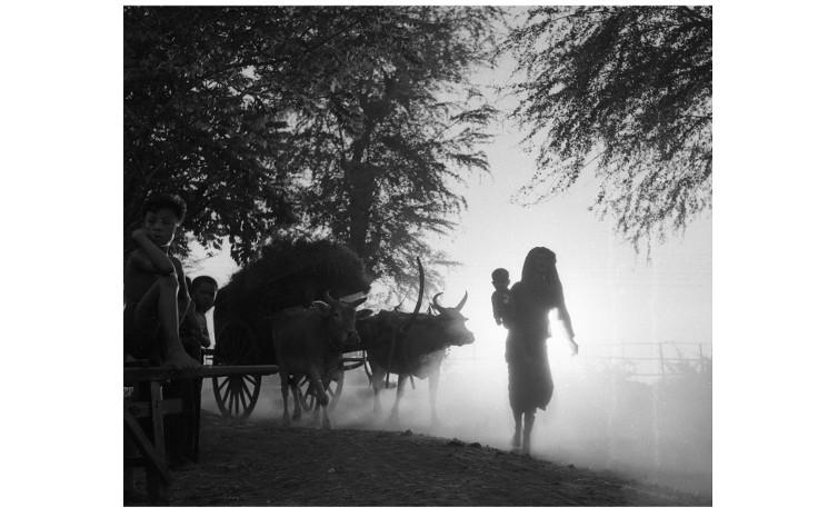 Raymond Cauchetier, 1954 - Cambodge