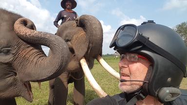 alain compost photographe animalier indonesie