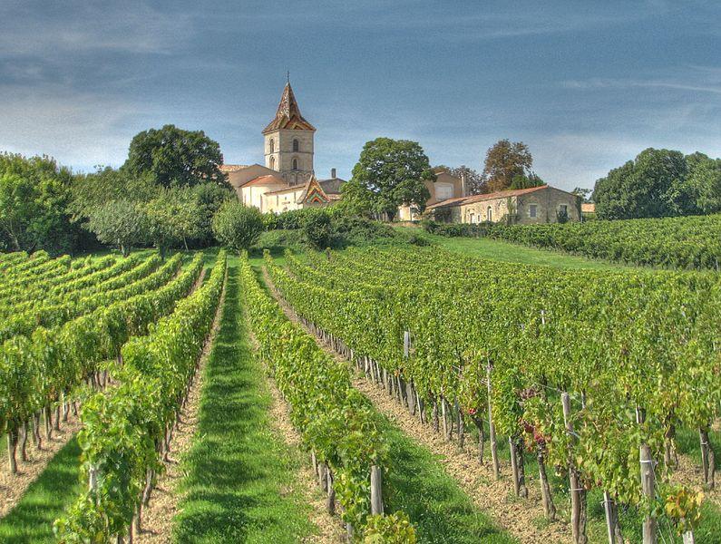 Vignoble bordeaux