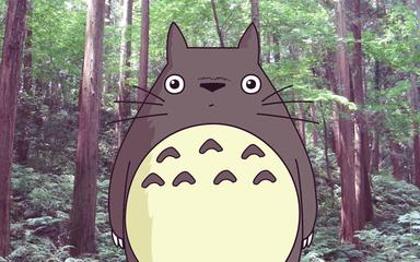 totoro-forêt-tokyo-saitama-japon