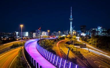 Nuit Blanche Auckland City