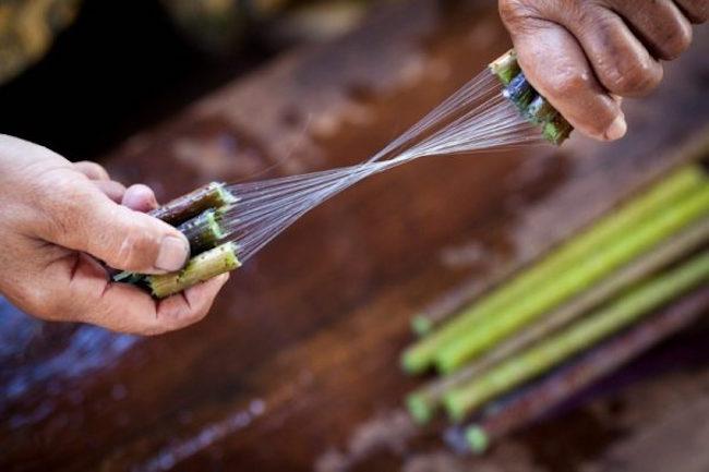 tissage de lotus en Birmanie 