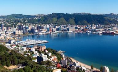 Le Petit Journal Wellington