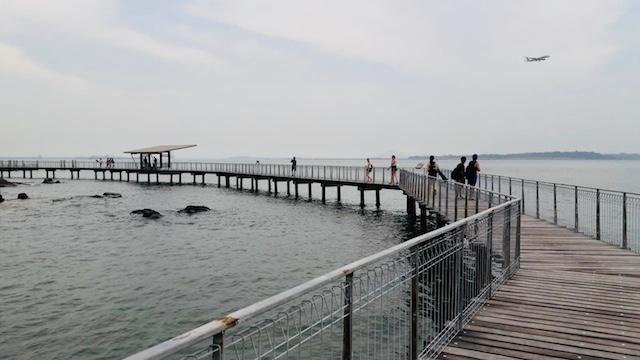 Pulau Ubin, Singapour