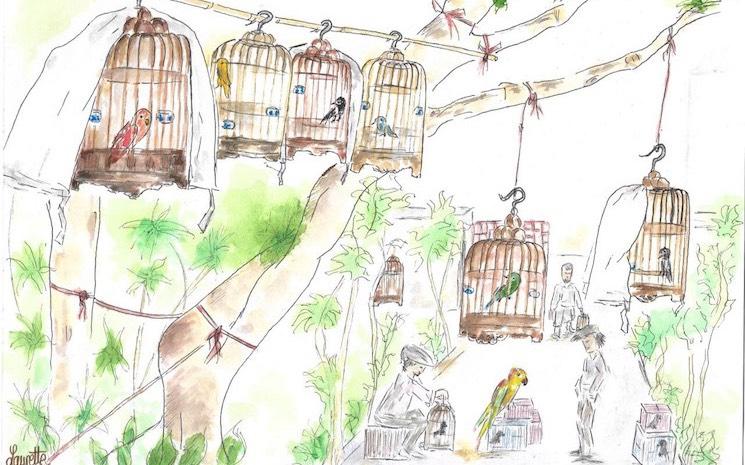 dessin marché oiseaux Hong Kong