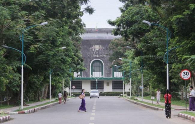 les anciens arbres de l'universite de Yangon en Birmanie