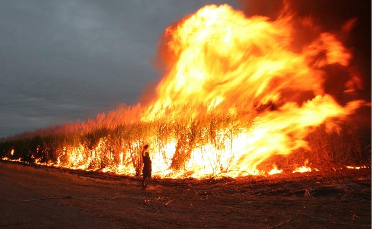 Feu incendie australie