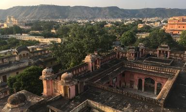 Jaipur rose Rajasthan Inde