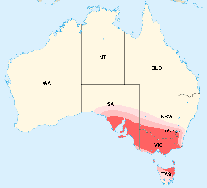 Victoria NSW evacuer zones