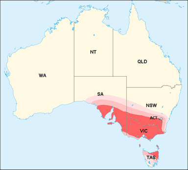 Victoria NSW evacuer zones