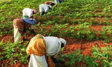 Self Help Group Inde Benjamine Oberoi