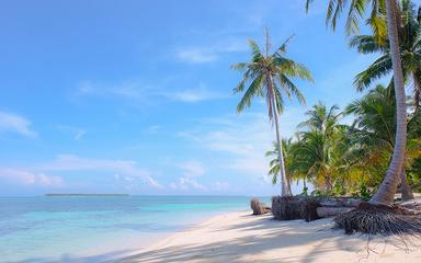 palawan plage paradis