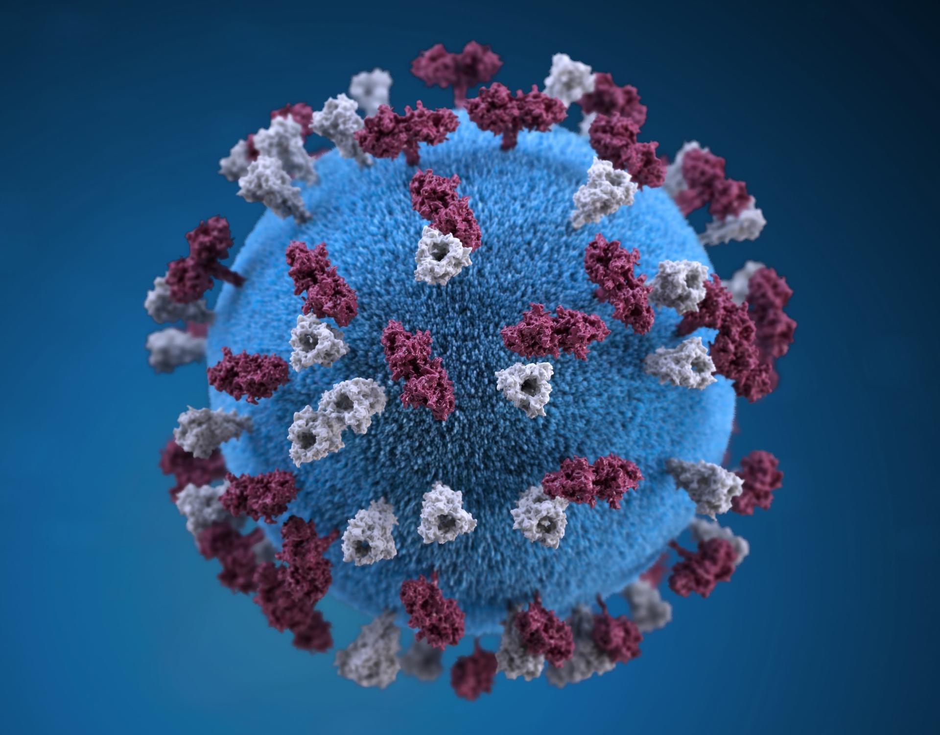 Coronavirus Dakar