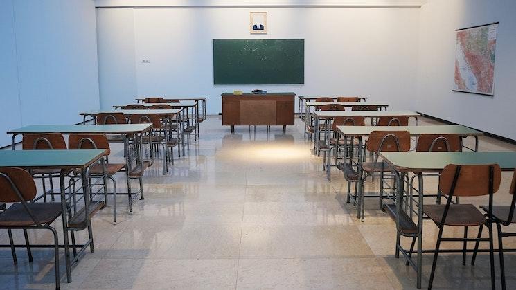 senat enseignement français etranger