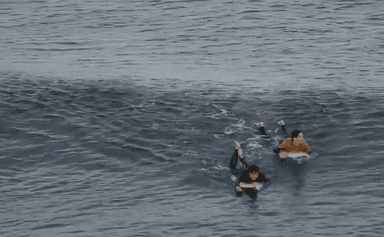 Surfeur français attaque requin Australie