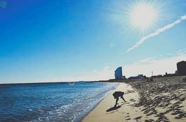 plage barcelone