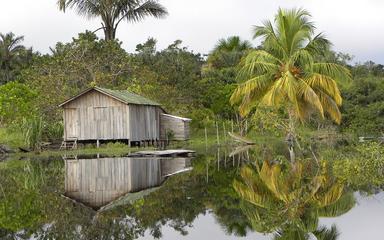 Amazonie solidarité alliance française lima pérou