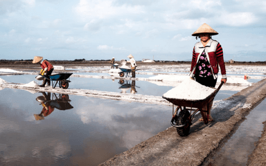 photo adrien jean vietnam marais salant