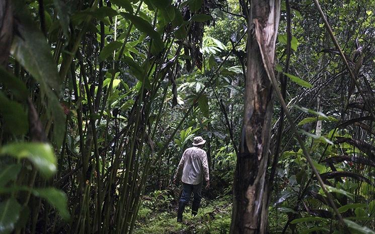 défenseur environnement protection pérou escazú