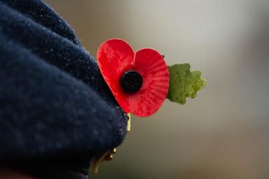 coquelicot remembrance sunday RU 