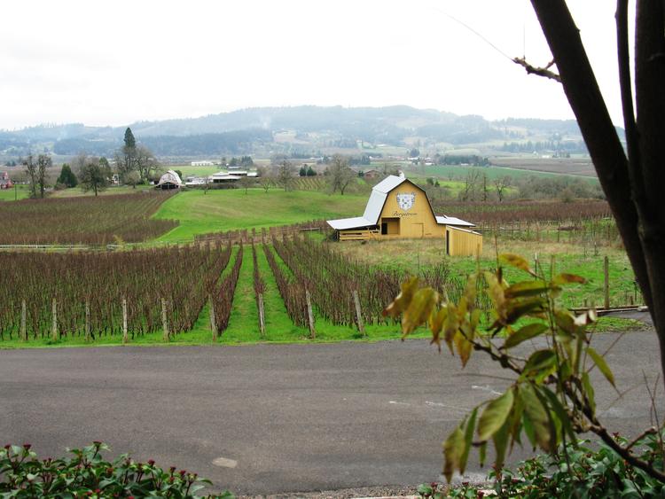 The Wine Story Club Thibault Lavergne Pinot Noir Bourgogne