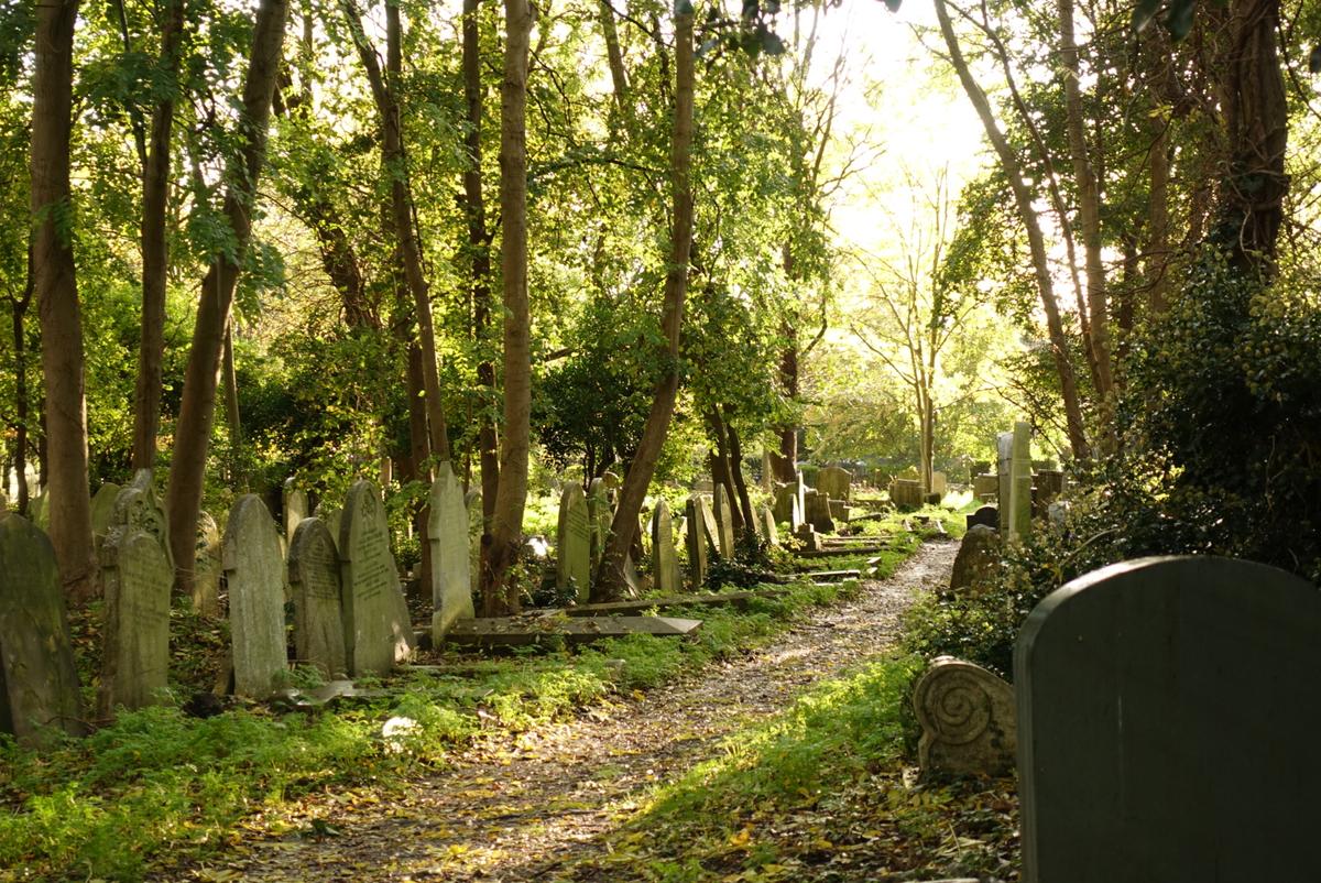 réchauffement climatique cimetière highgate 