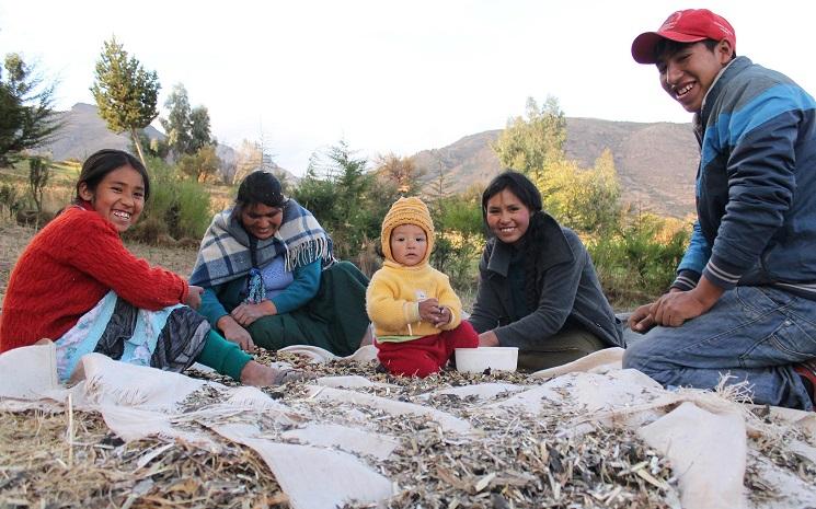 La marque Pitumarka et les tisseurs du Cusco au Pérou