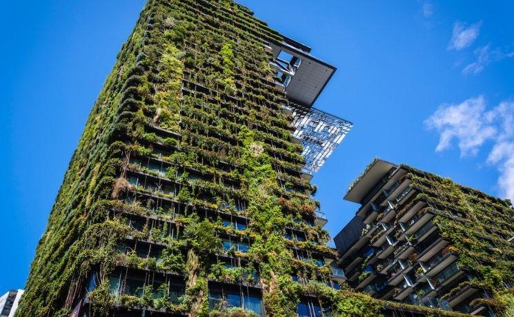 sydney environnement écologie ville verte