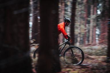 Un mountain bike dans la forêt viennoise