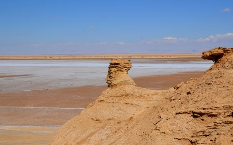 L'ONG JMEL en TUNISIE