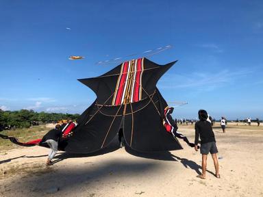 Un cerf volant sur une plage de Bali