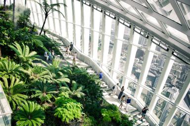 Le gratte ciel de Sky Garden au coeur de la City