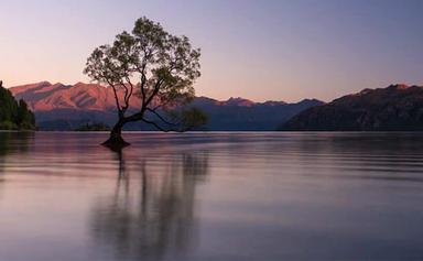 extrait du timelapse de Michael Shainblum