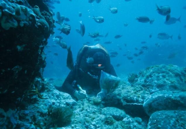 un plongeur sous-marin 