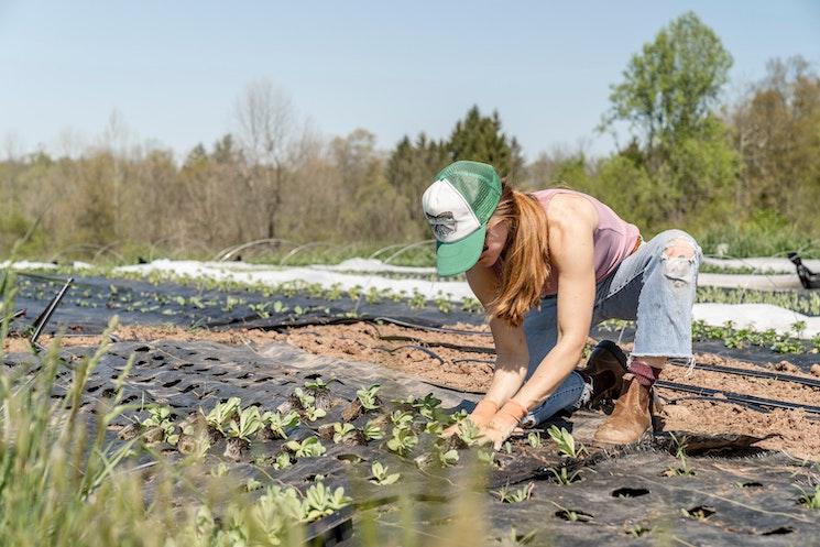 Jeune fille travaillant dans un champ à l'étranger