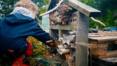 Une petite fille joue dans la cour d'une école à la rencontre de la biodiversité