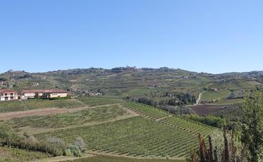 paysage vignobles des Langhe en Italie