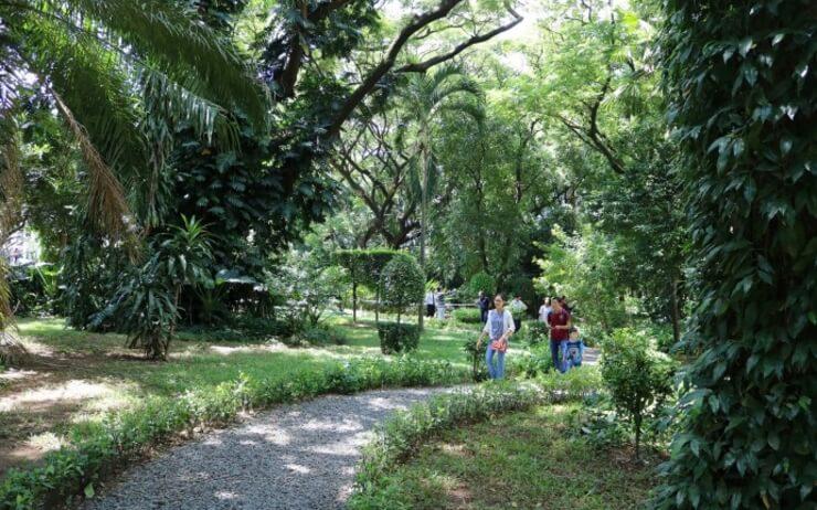 balade dans les jardins de l'ambassade de France à Phnom Penh