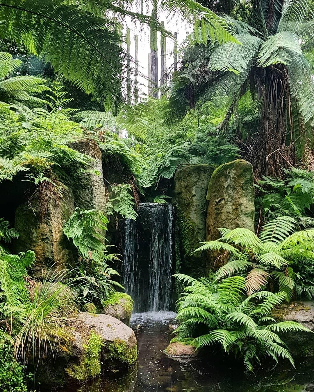 La forest gallery du Melbourne Museum