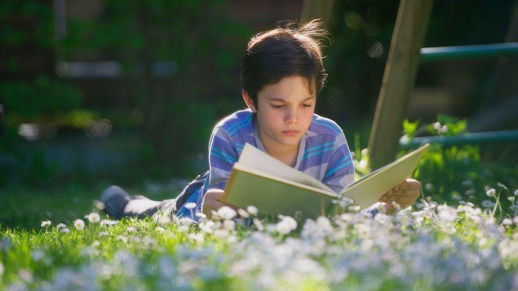 un enfant lit dans un champ durant les vacances d'été 