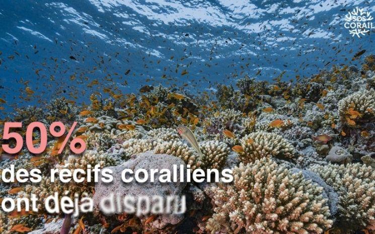 Une affiche de la plateforme Sos Corail