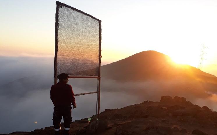 Les attrapes nuages transforment le brouillard en source de vie