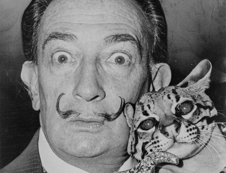 dali-ocelot