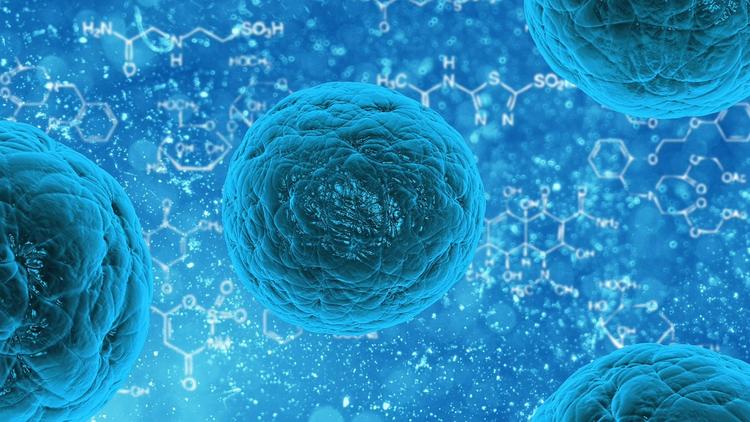 bacterie virus Covid 19 coronavirus pandémie maladie