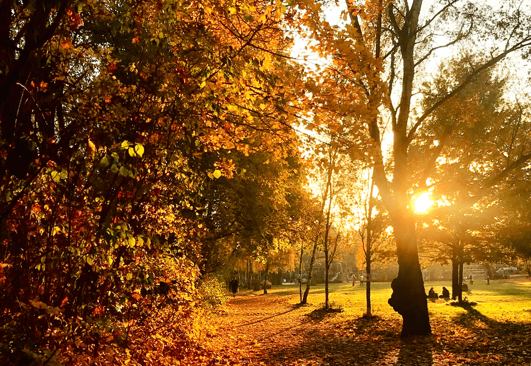 Le Bürgerpark Pankow