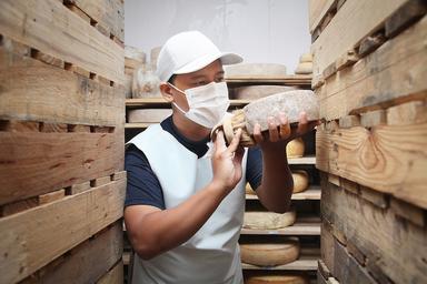 Fromager dans sa cave en Indonésie