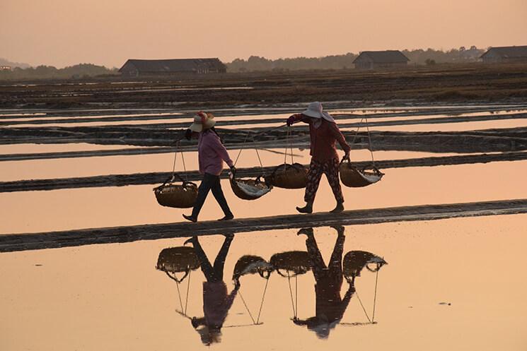 marais salants region de kep au Cambodge 2