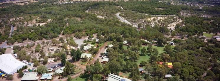 Whiteman - Caversham wildlife park